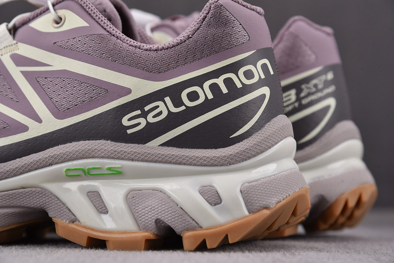 salomon xt-6