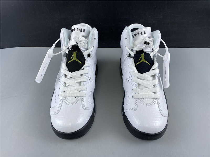 air jordan 6 gs alligator 384665-110